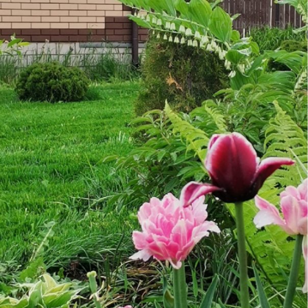 превью изображения отзыва