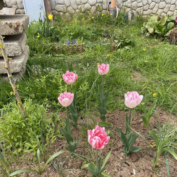 превью изображения отзыва