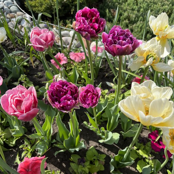 превью изображения отзыва