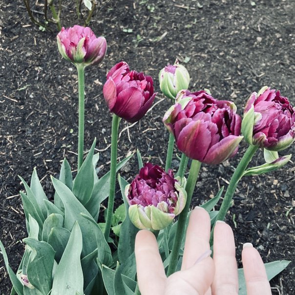 превью изображения отзыва