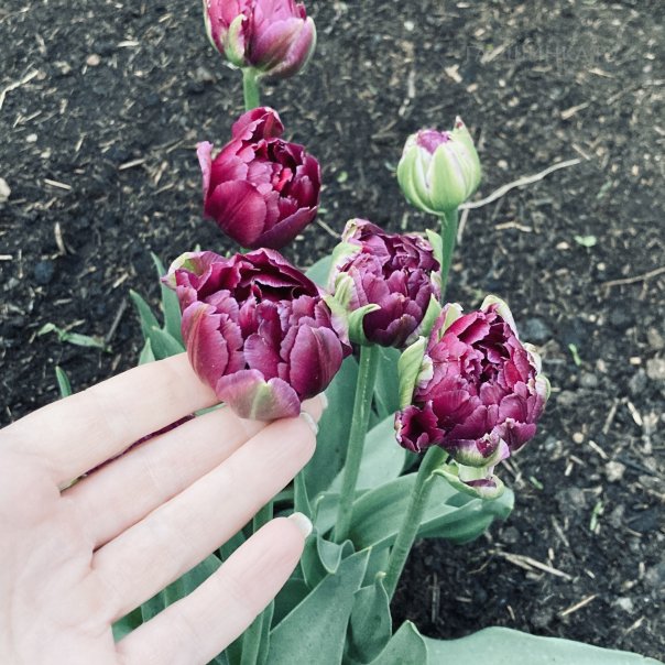 превью изображения отзыва