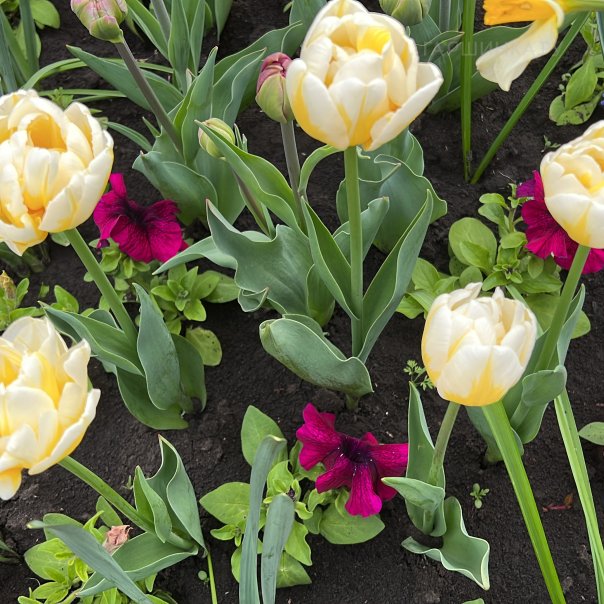 превью изображения отзыва