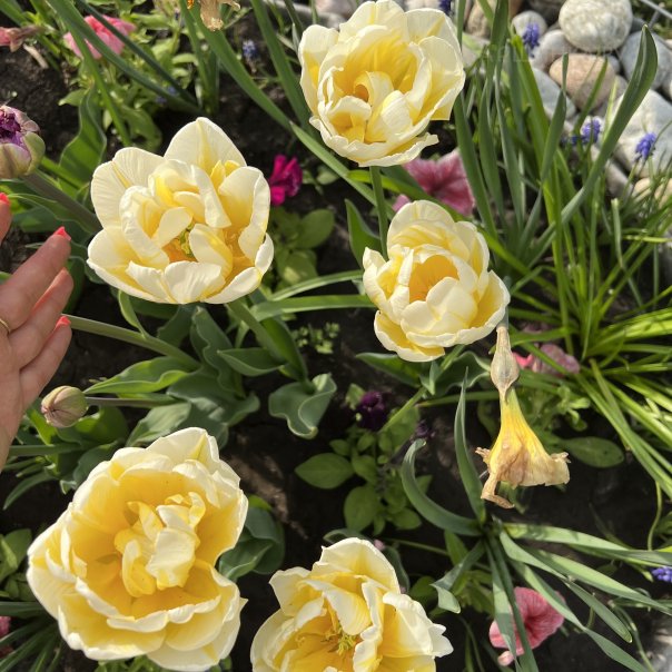 превью изображения отзыва