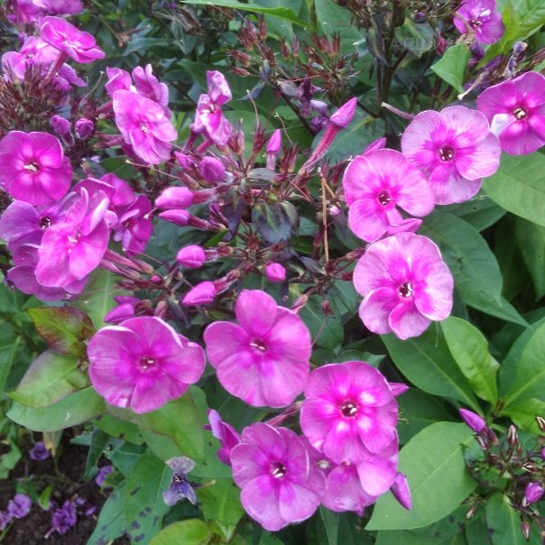 превью изображения отзыва