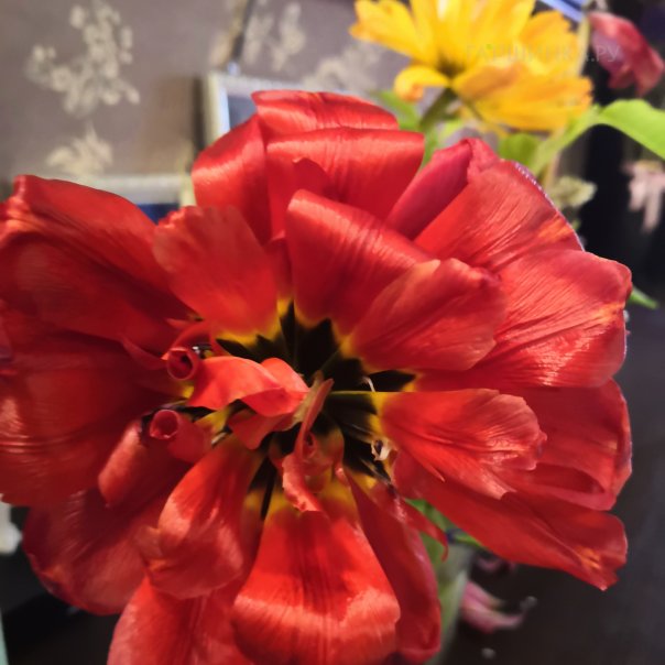 превью изображения отзыва