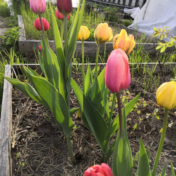 превью изображения отзыва