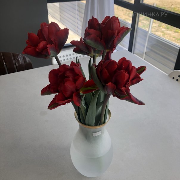 превью изображения отзыва