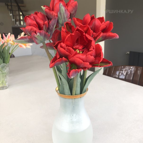 превью изображения отзыва