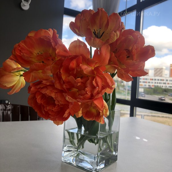 превью изображения отзыва