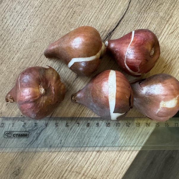 превью изображения отзыва