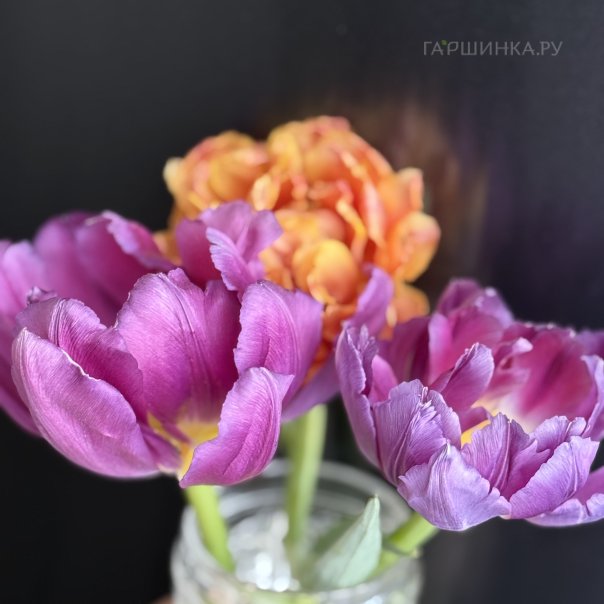 превью изображения отзыва