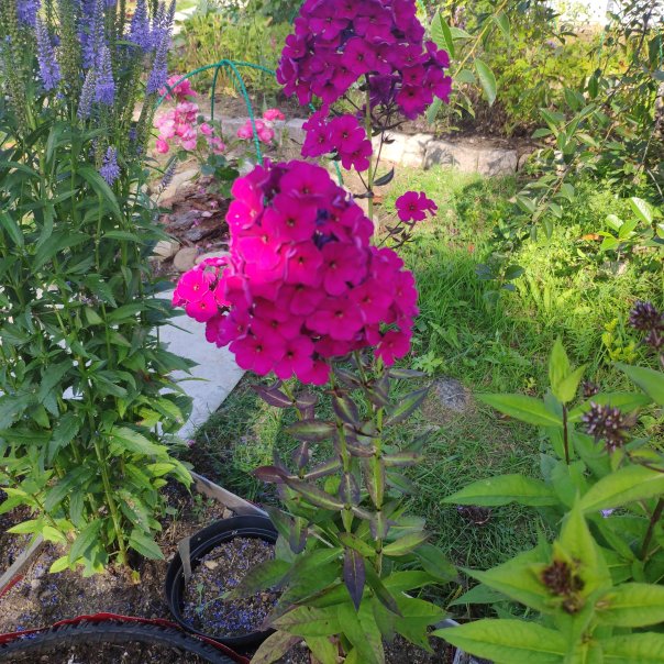 превью изображения отзыва