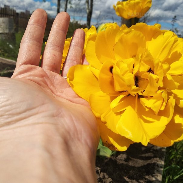 превью изображения отзыва