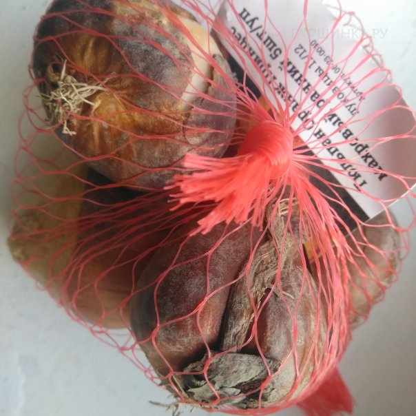 превью изображения отзыва