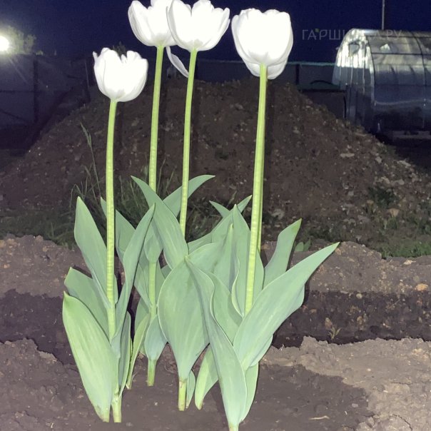 превью изображения отзыва