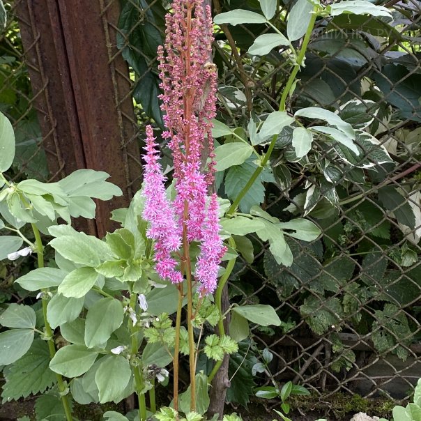 превью изображения отзыва