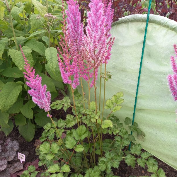 превью изображения отзыва