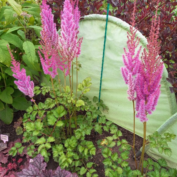 превью изображения отзыва