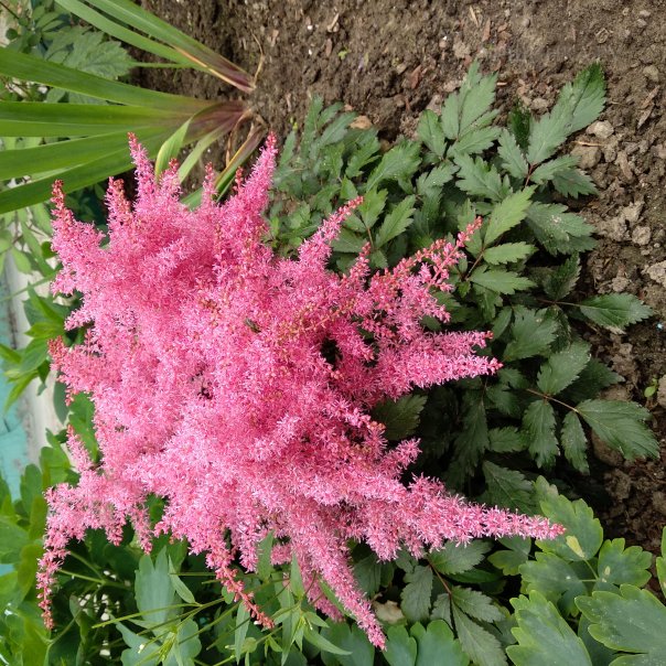 превью изображения отзыва