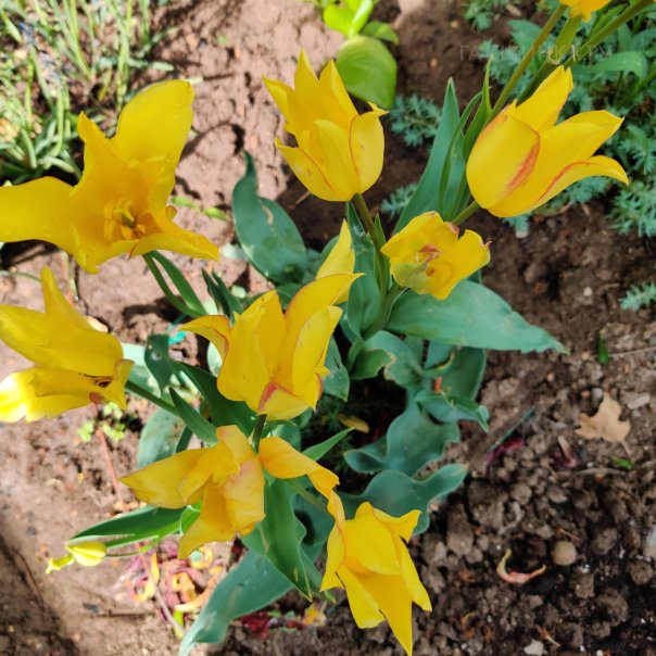 превью изображения отзыва