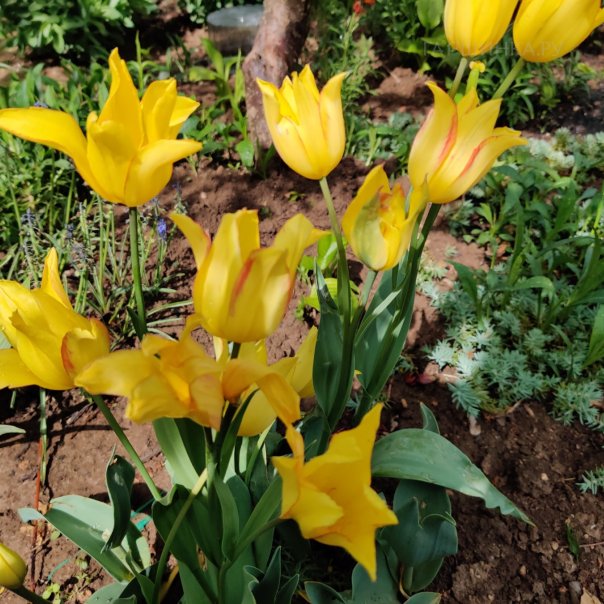 превью изображения отзыва