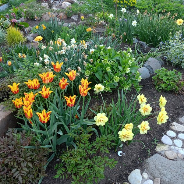 превью изображения отзыва