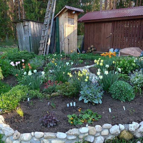 превью изображения отзыва