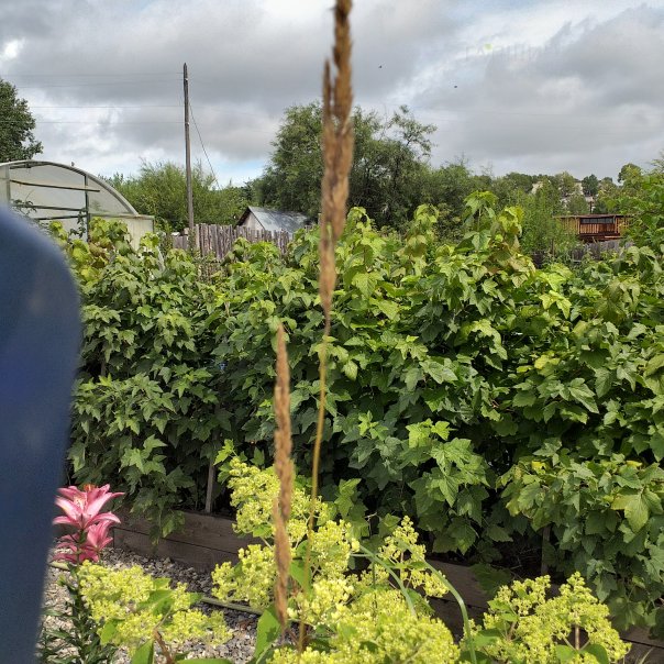 превью изображения отзыва