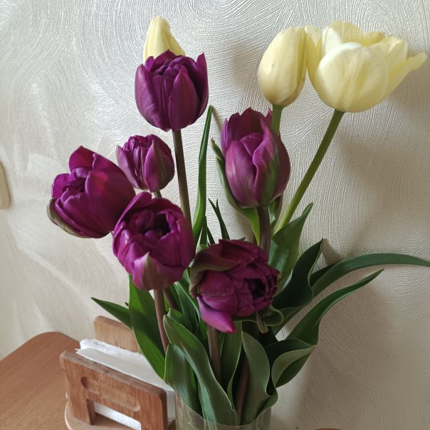 превью изображения отзыва