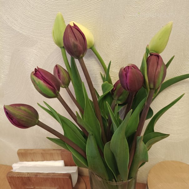 превью изображения отзыва