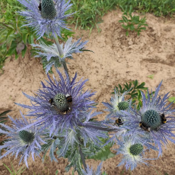 превью изображения отзыва