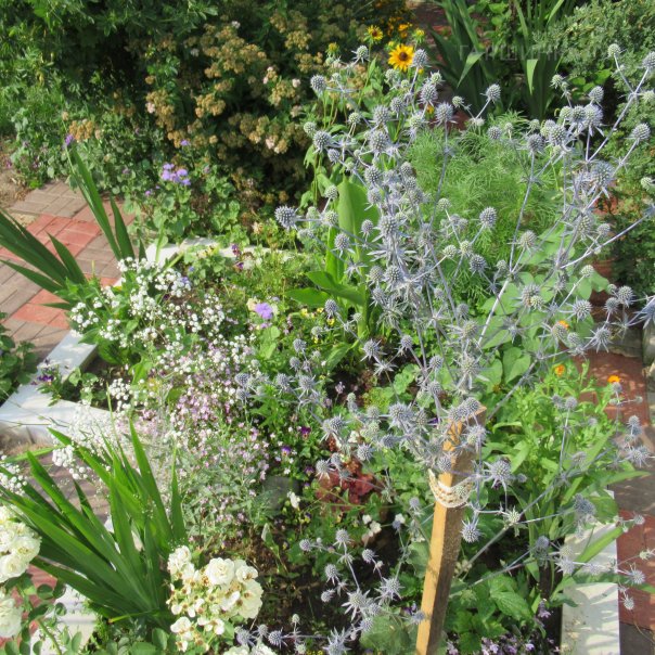 превью изображения отзыва