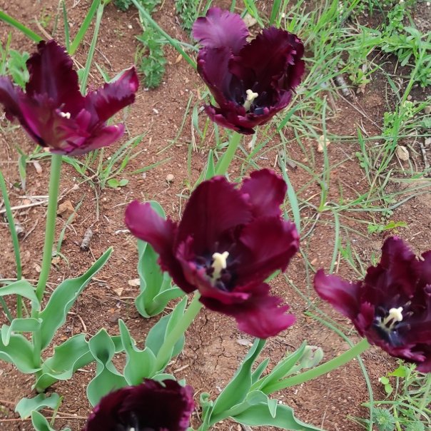 превью изображения отзыва