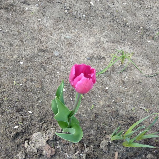 превью изображения отзыва