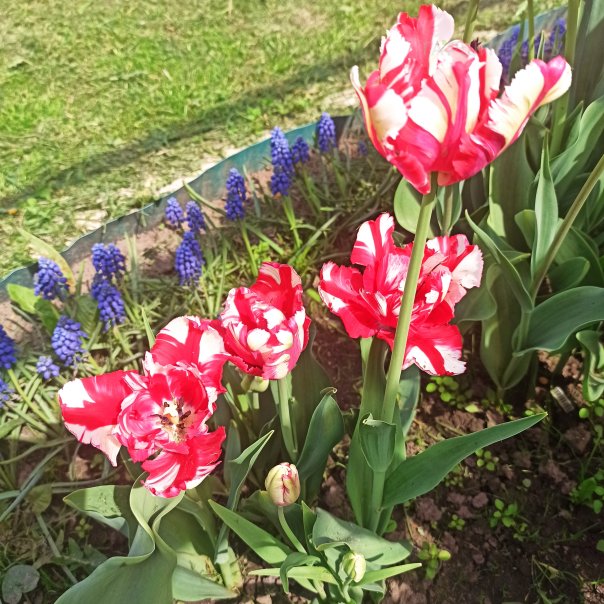 превью изображения отзыва