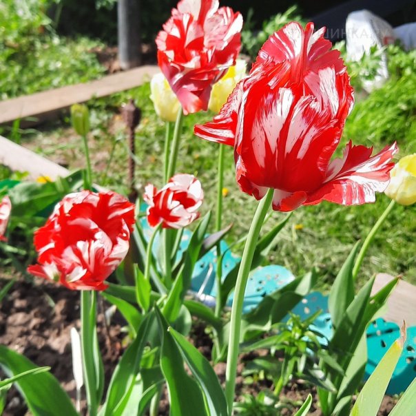 превью изображения отзыва