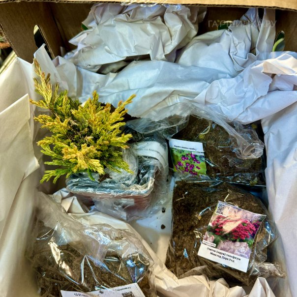 превью изображения отзыва