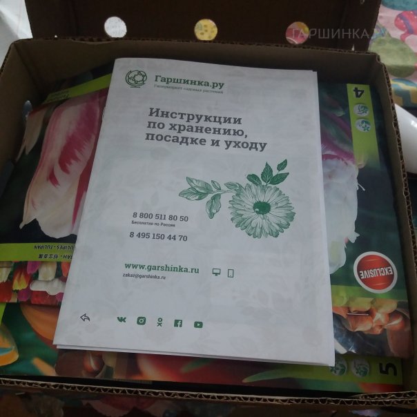 превью изображения отзыва