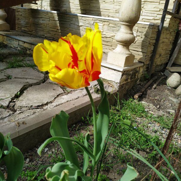 превью изображения отзыва