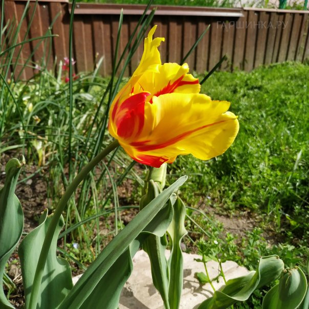 превью изображения отзыва