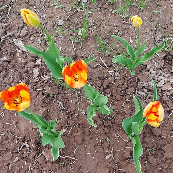 превью изображения отзыва