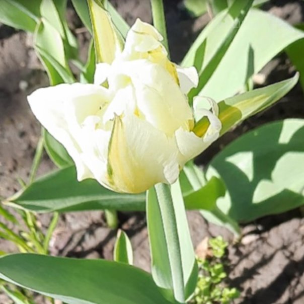 превью изображения отзыва