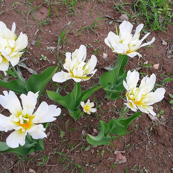 превью изображения отзыва