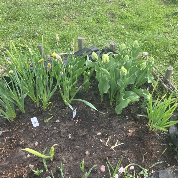 превью изображения отзыва