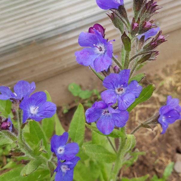 превью изображения отзыва