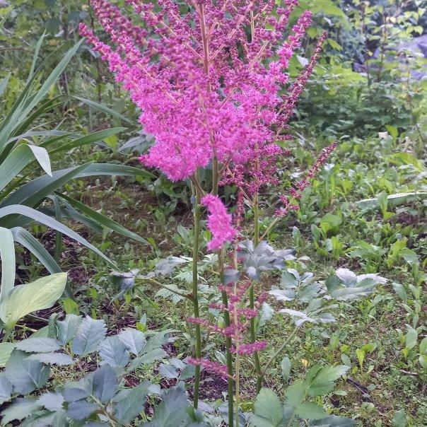 превью изображения отзыва