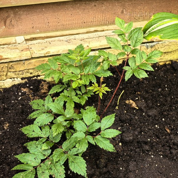 превью изображения отзыва