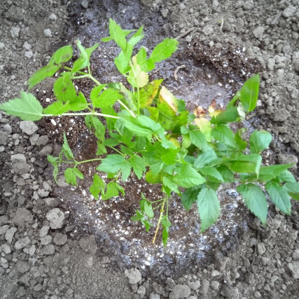 превью изображения отзыва