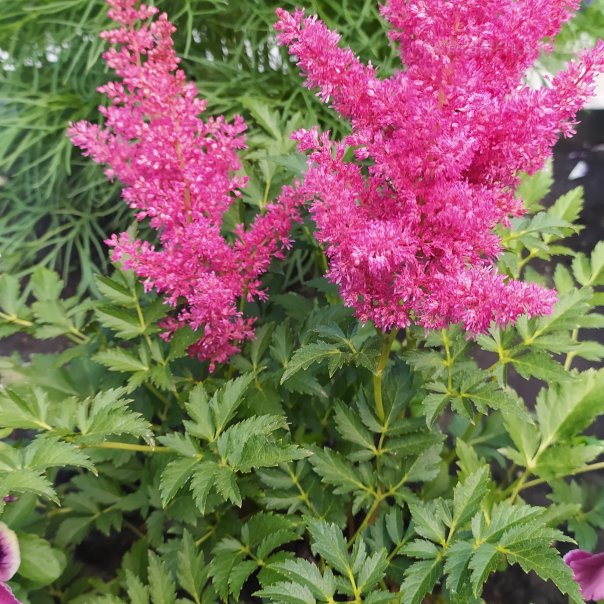 превью изображения отзыва