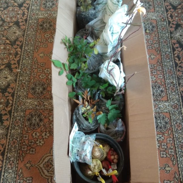 превью изображения отзыва